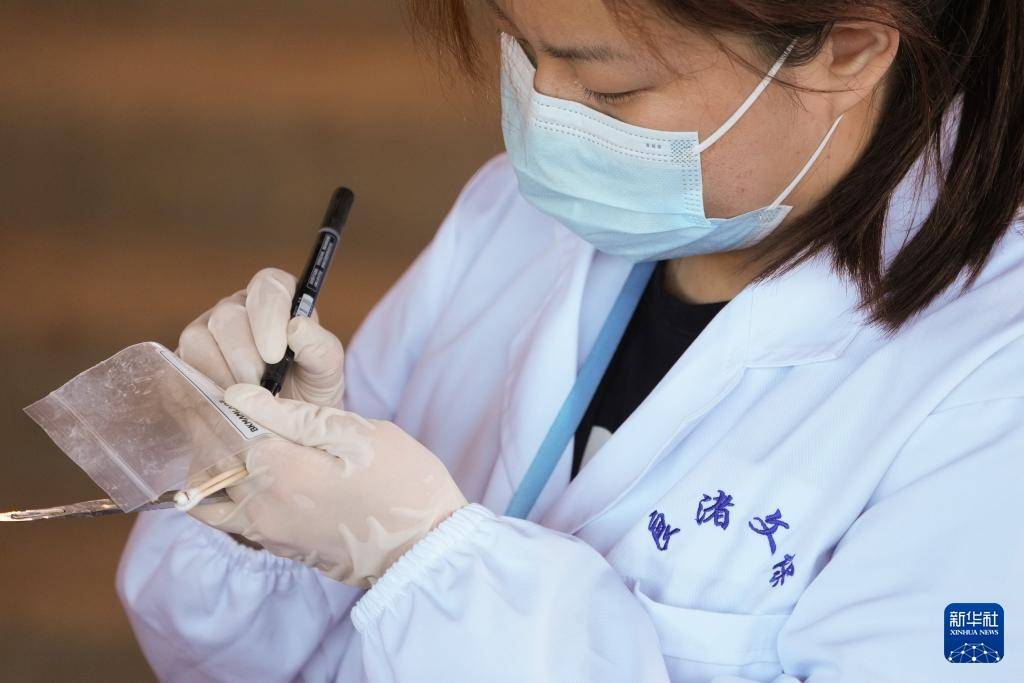 智繪中國·世遺鏡鑒｜良渚遺址：科技照亮文明之光:光繪機