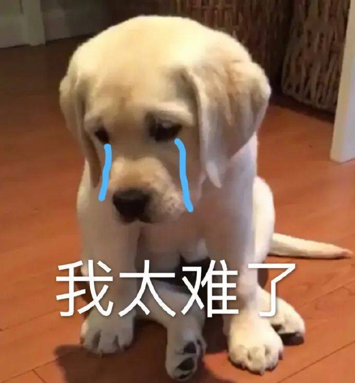 讓吹風(fēng)機(jī)打“黑工”<strong></p>
<p>光繪機(jī)</strong>，小心你家被燒光！:光繪機(jī)