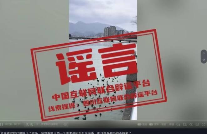 傳真機 | 光污染嚴重導致四川雅安紅嘴鷗減少？謠言不要信:光繪機